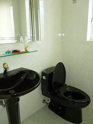 Sold by Big Apple Homes Realty | media 6