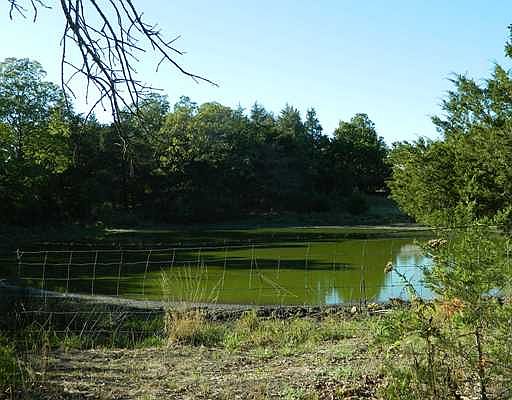 2nd image of Bush Valley Rd
