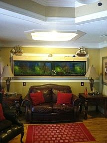 3rd image of 2430 Amelia Ave