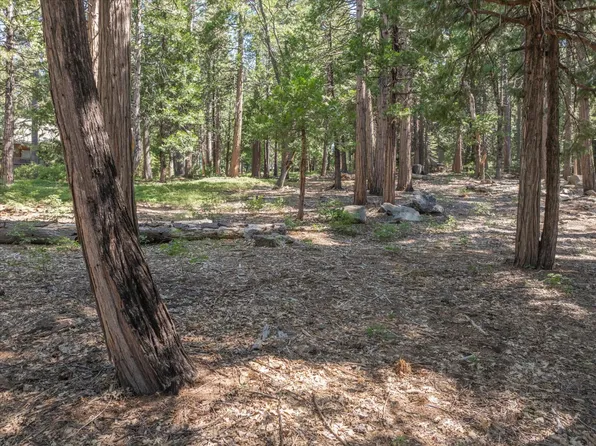 926 Shoshone Dr, Camp Connell, CA 95223