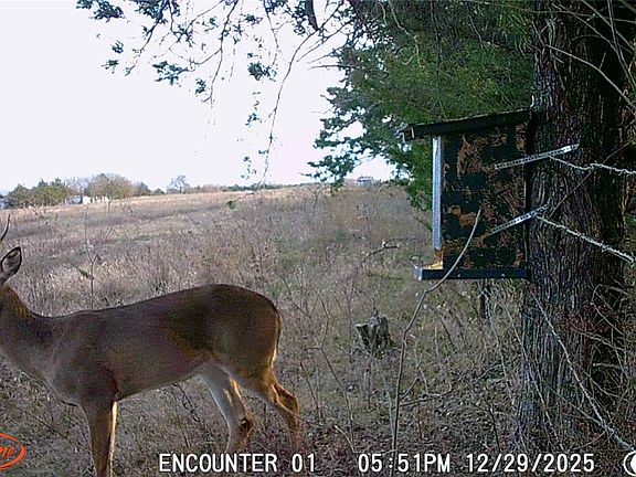 5th image of 153 Raccoon Dr