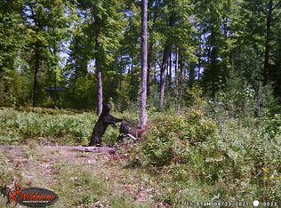 6715 N Fish Rd, Hessel, MI 49745