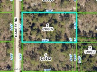 18064 Ramsey Rd, Weeki Wachee, FL 34614