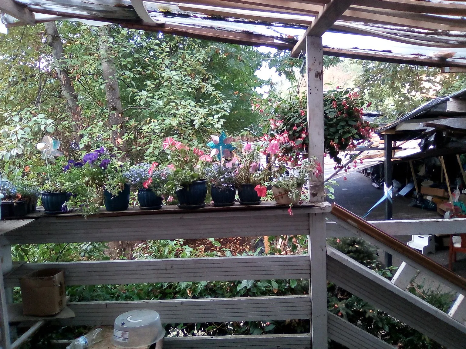 3 bed, 2800 sqft, $450 — Photo 2