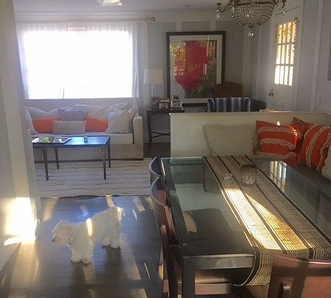 French doors to garden