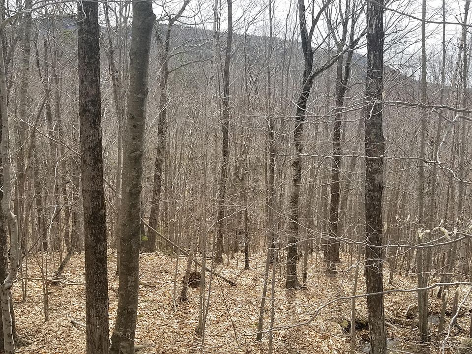 2nd image of 0 Gillette Rd