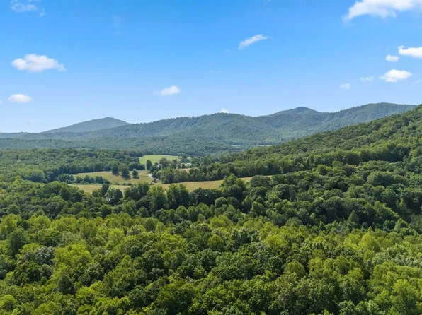 1672 Davis Creek Ln, Lovingston, VA 22949