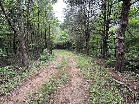 3rd image of 256 Rambo Loop