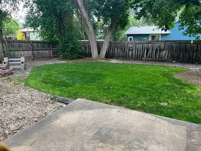 Fenced Back Yard