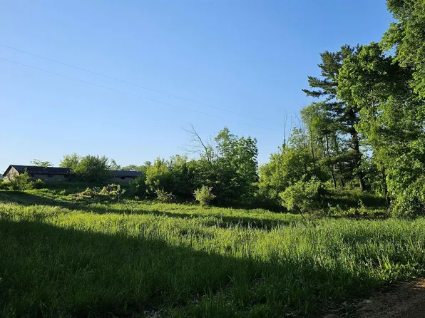 Bliss Rd, Elwell, MI 48832