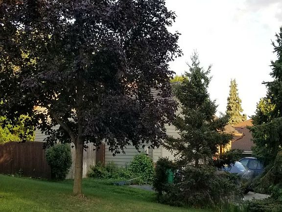 3rd image of 13713 Parkwood Ln