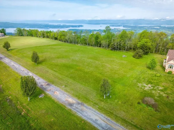 0 Overlook Dr Lot 6 & 7, Section, AL 35771