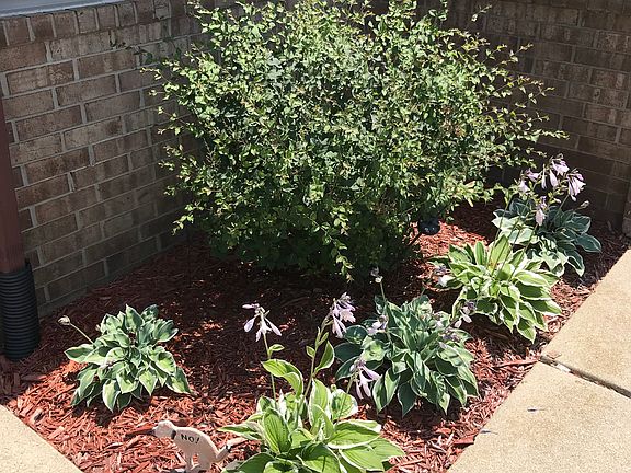 Front garden