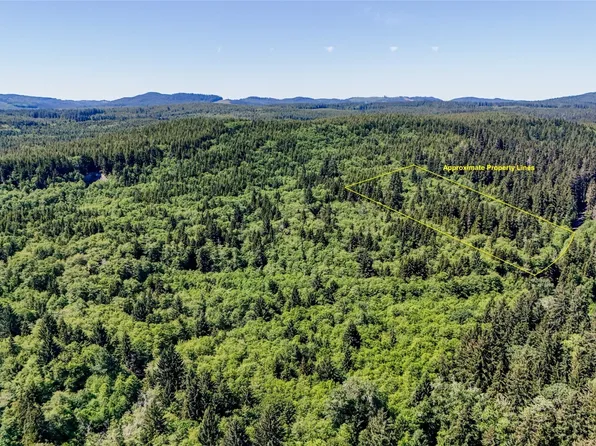 99991 Dowans Creek Road, Forks, WA 98331