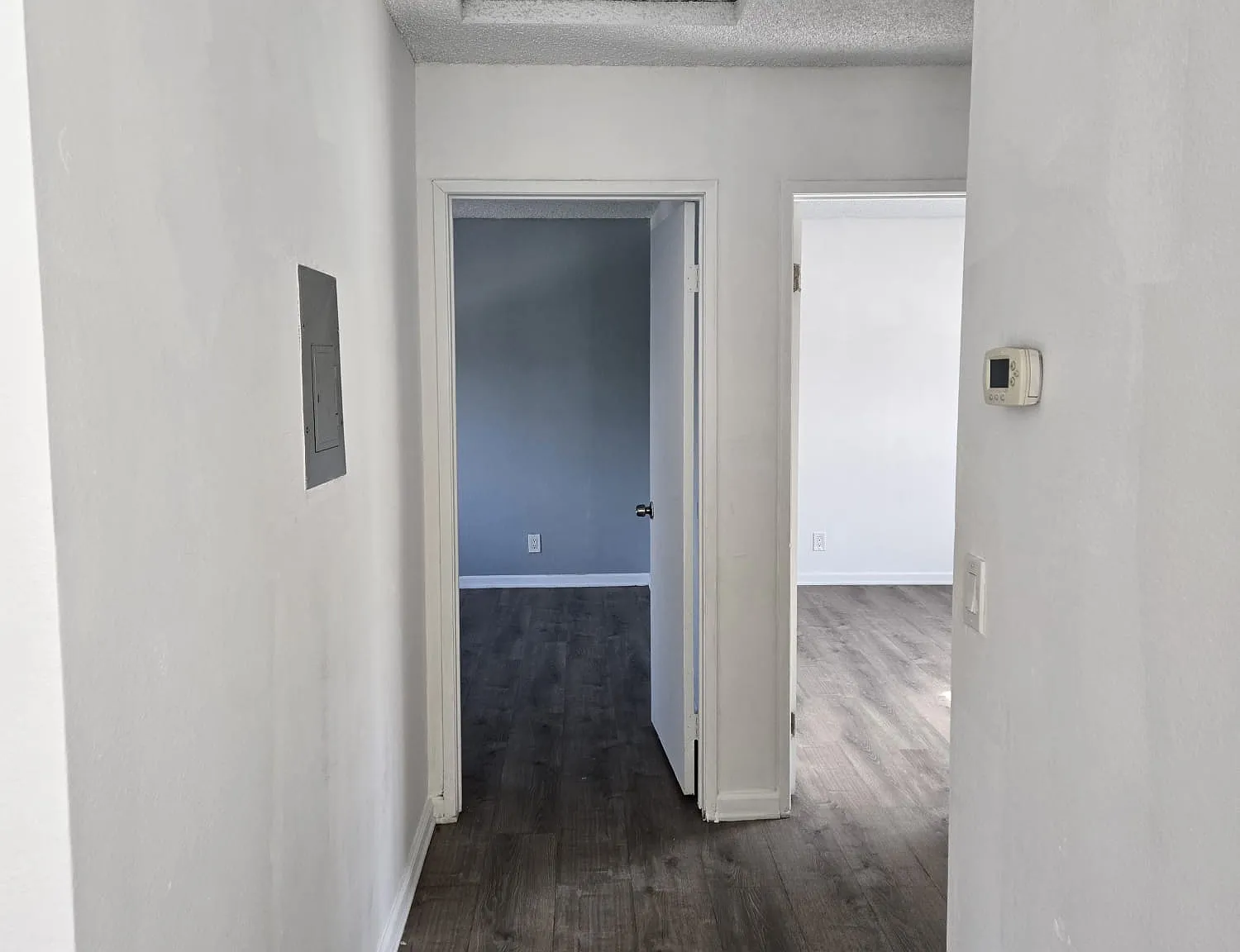 3 bed, 1300 sqft, $3,000 — Photo 3