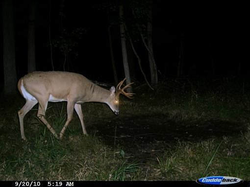 3rd image of W5866 Grouse Dr