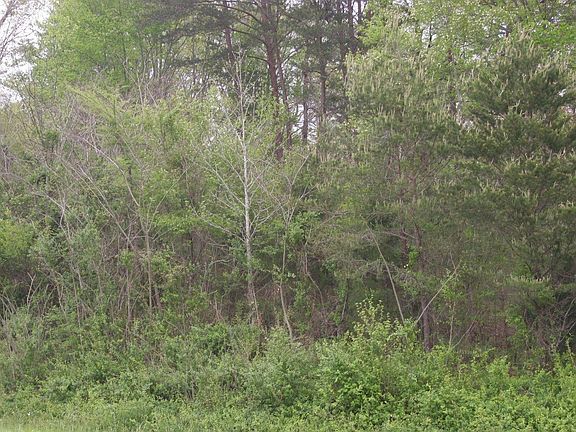 4th image of 0 Highway 68/cemetery Rd