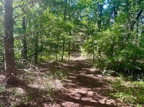 PARCEL Maybee Rd #C, Lake Orion, MI 48359