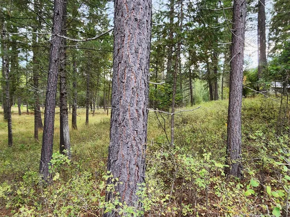 3100 Kootenai River Rd #1380, Libby, MT 59923