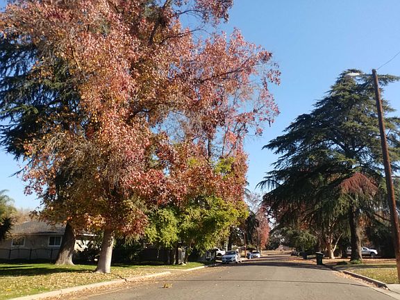 5th image of 806 E Garland Ave