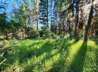 25 Miners Ridge Rd, Oroville, WA 98844