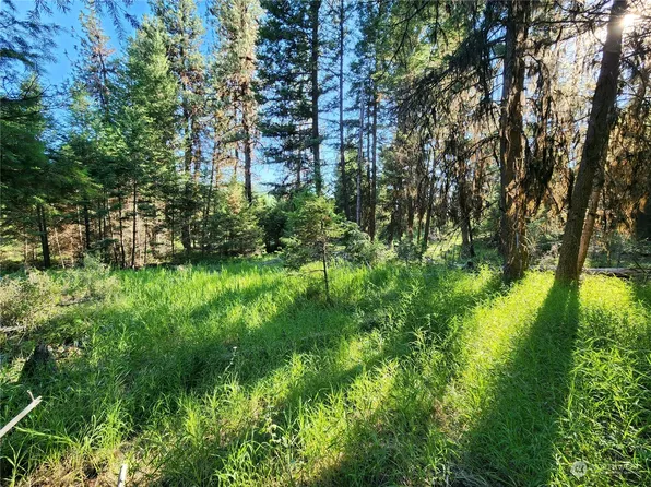 25 Miner's Ridge Road, Oroville, WA 98844