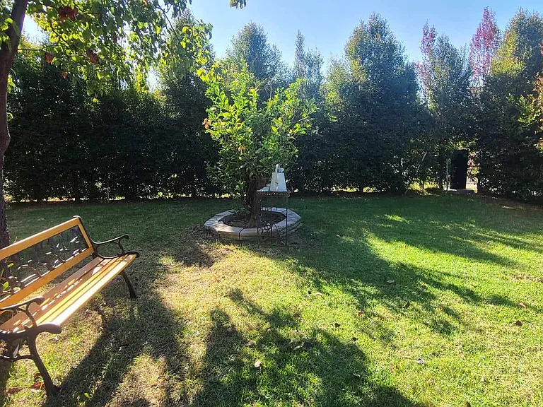 Peach Ave — Photo 6