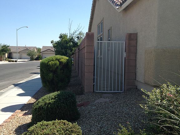 Left Side Yard