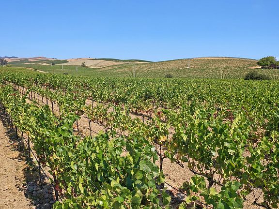 3rd image of 5267 Old Sonoma Road