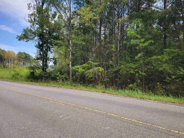 0 County Road 63, Houston, AL 35572