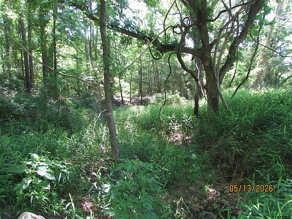 5th image of 9491 Pleasant Ridge Rd