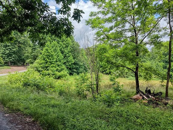 4th image of 1404 Holly Point Dr