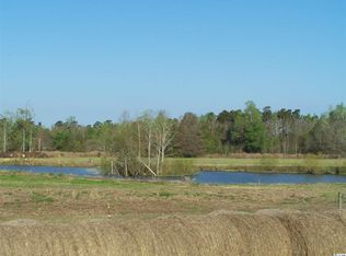 9100 Quarter Horse Dr, Nichols, SC 29581