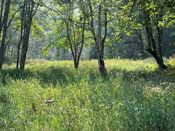 0 Azalea Glen Rd, Glendale, OR 97442