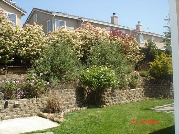 3rd image of 1238 Swan Lake Dr
