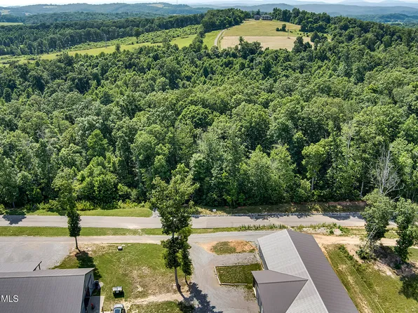 3 Estates At Trinity Hl, Lenoir City, TN 37771