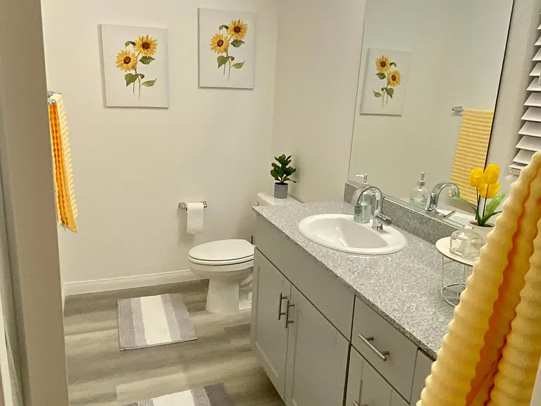 2828 Mosaic Moon Ln — Photo 38