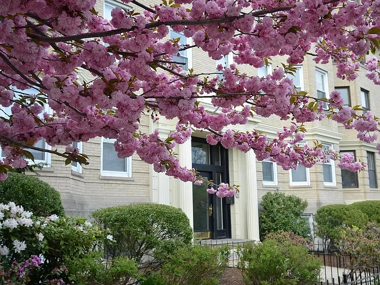 85 Park Dr #14 — Photo 11