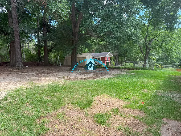 916 Patricia Dr — Photo 11