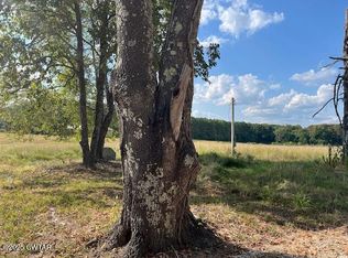 85 Burns Ln, Lavinia, TN 38348