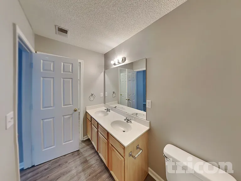 217 Wild Olive Dr — Photo 8