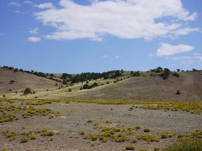 496 E Pfieffer Loop, South Fork, CO, 81154
