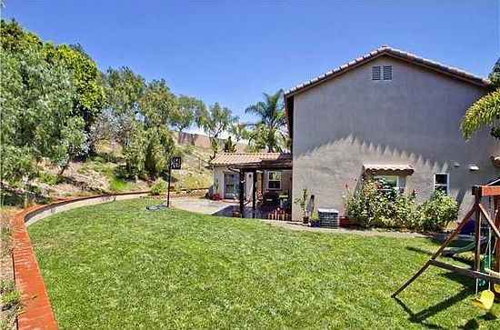 OVERVIEW OF HUGE REAR YARD