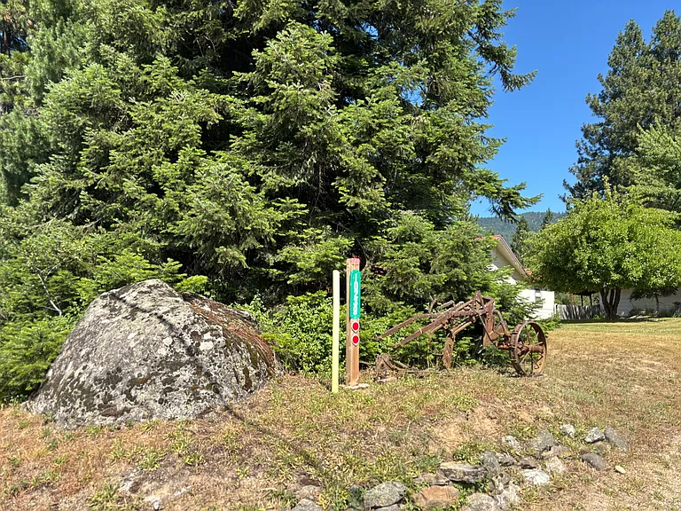 10239 Baldy Mountain Rd — Photo 18