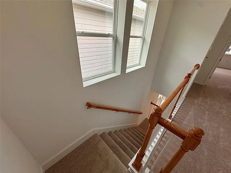 14727 Field Daisy Dr — Photo 19