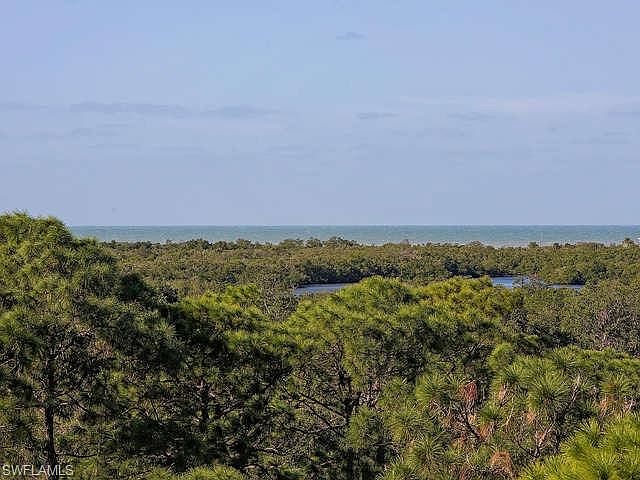 1st image of 285 Naples Cove Dr APT 1704