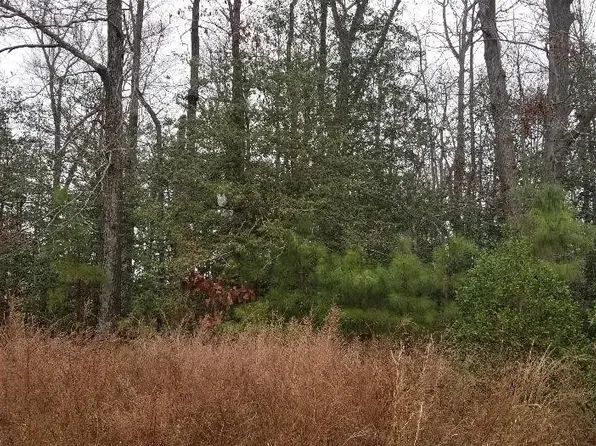 0 Maclin #12, Disputanta, VA 23842