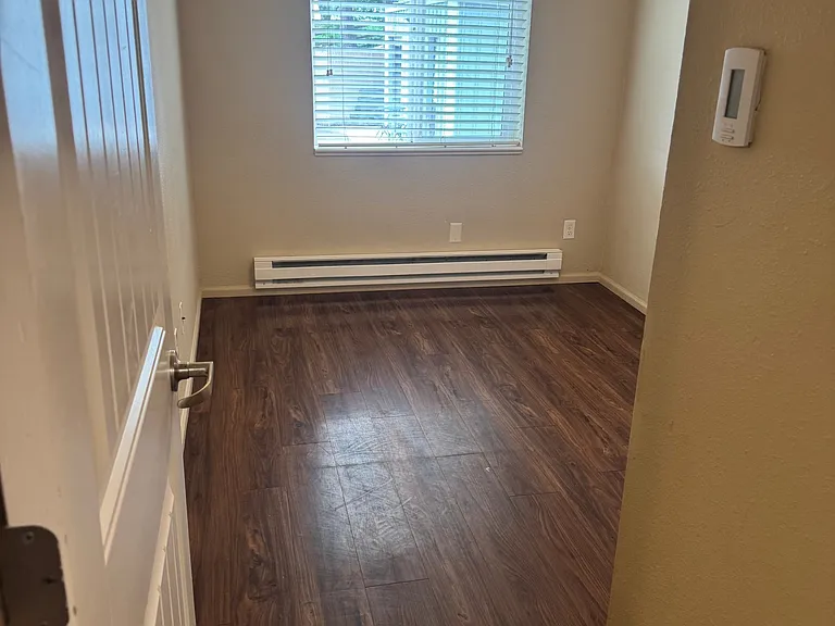 White Pine — Photo 12
