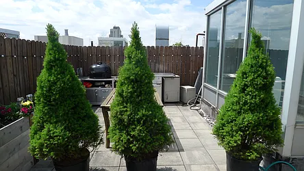 Rented by R New York