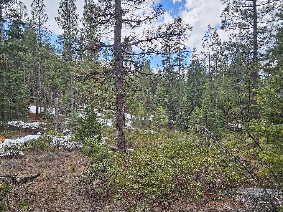 1st image of Leopard Ln #3711-015A0-04300